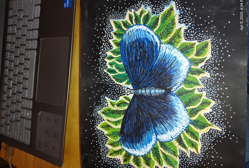 butterfly completed