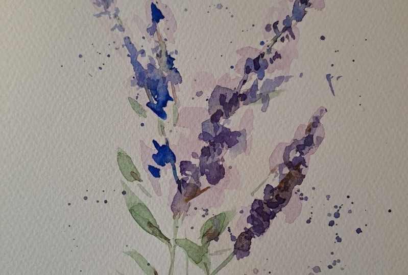 Watercolor herbs