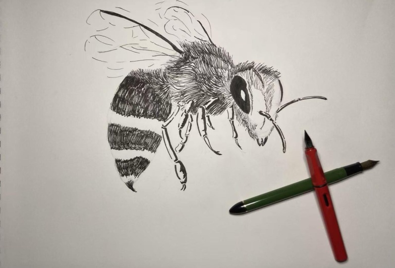 Bee in Fountainpen