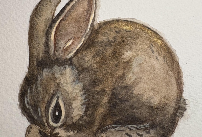 Watercolor bunnies