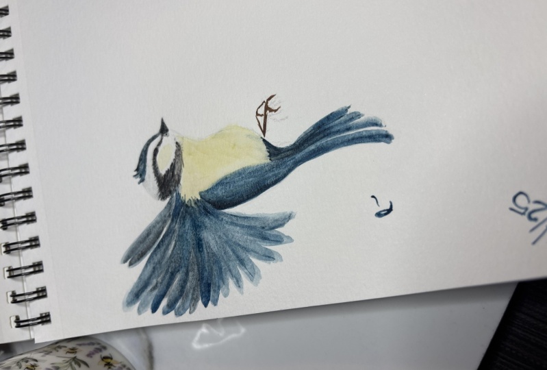 Lil Birdie