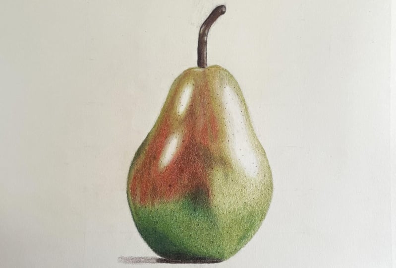 Pear Colored Pencil Blending