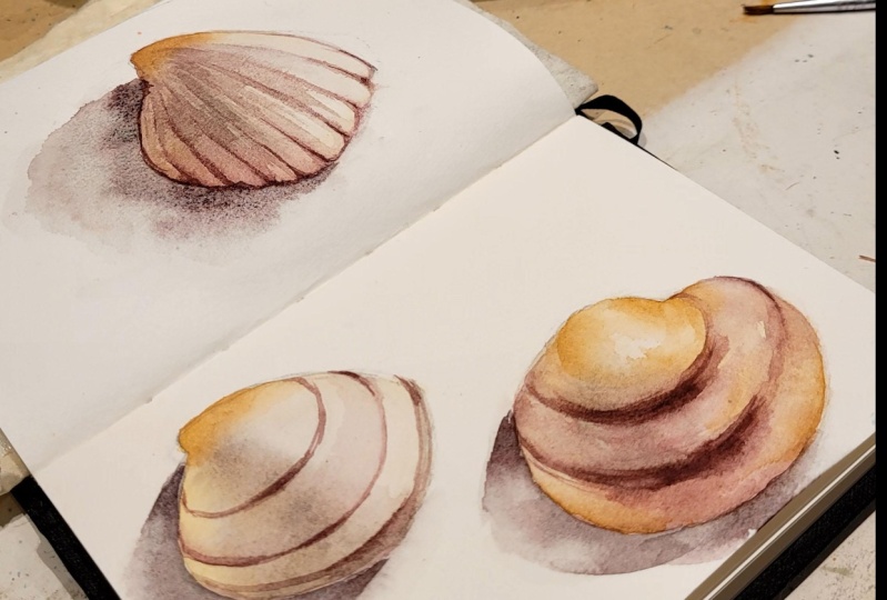 Caracolas