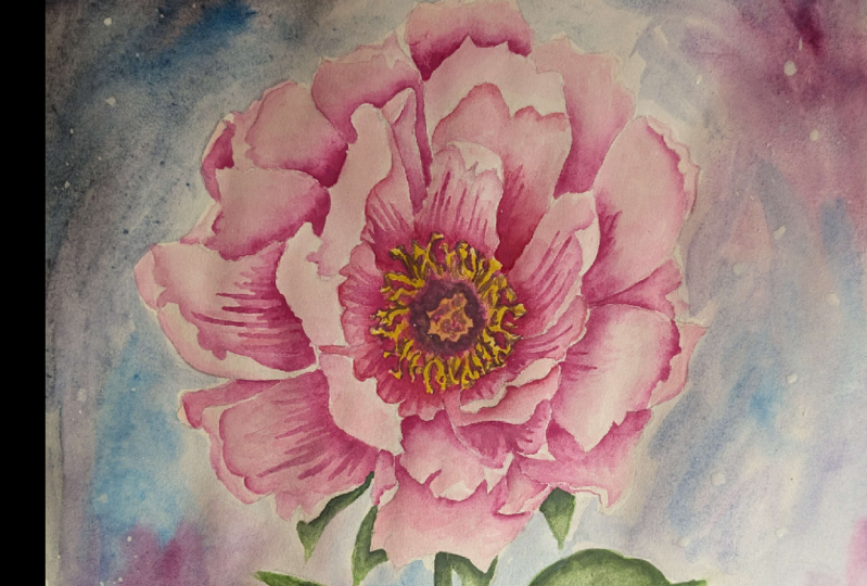 peony