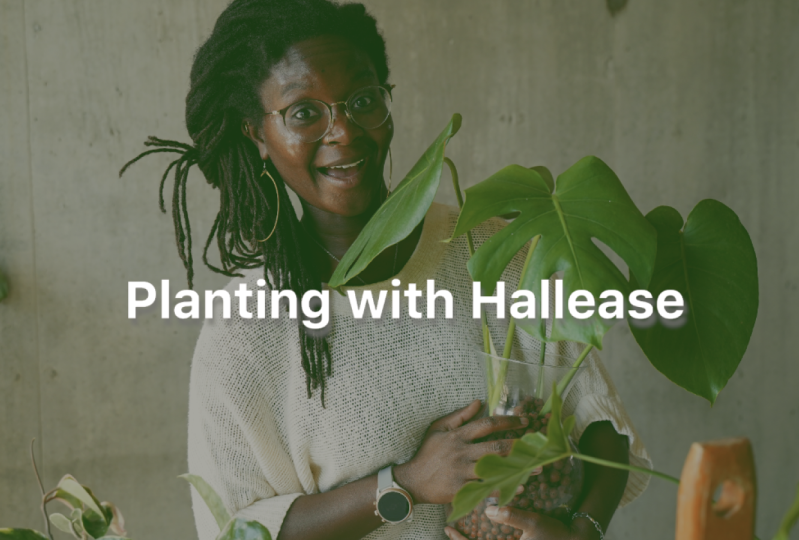 How To Plant
