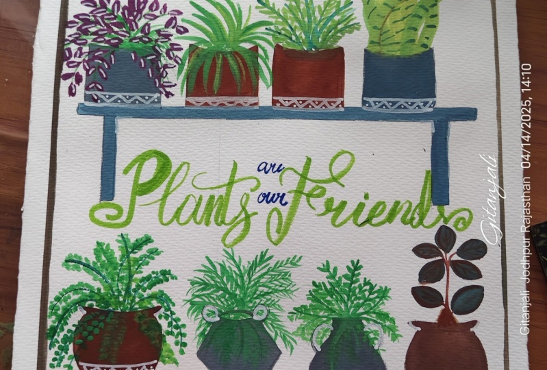 My garden plants