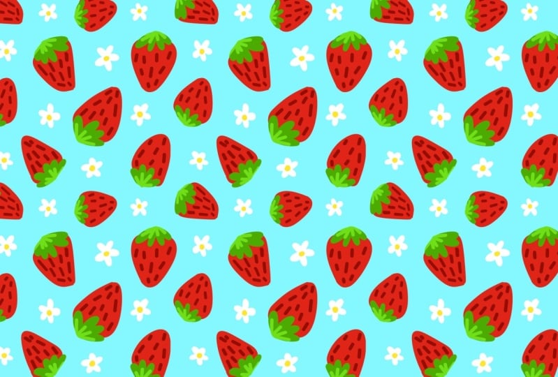 Strawberry & Daisy Pattern