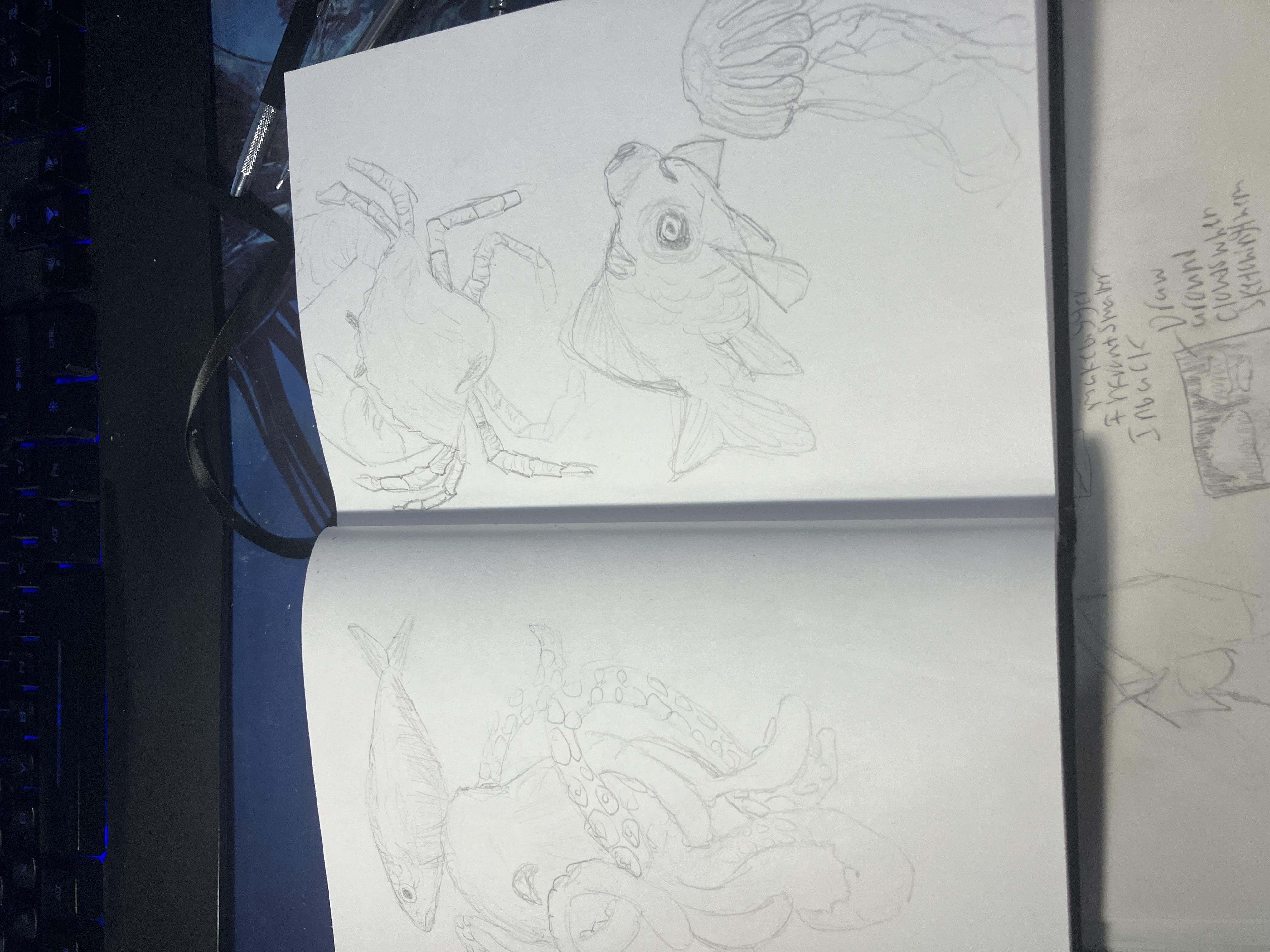 more-projects-from-class-img