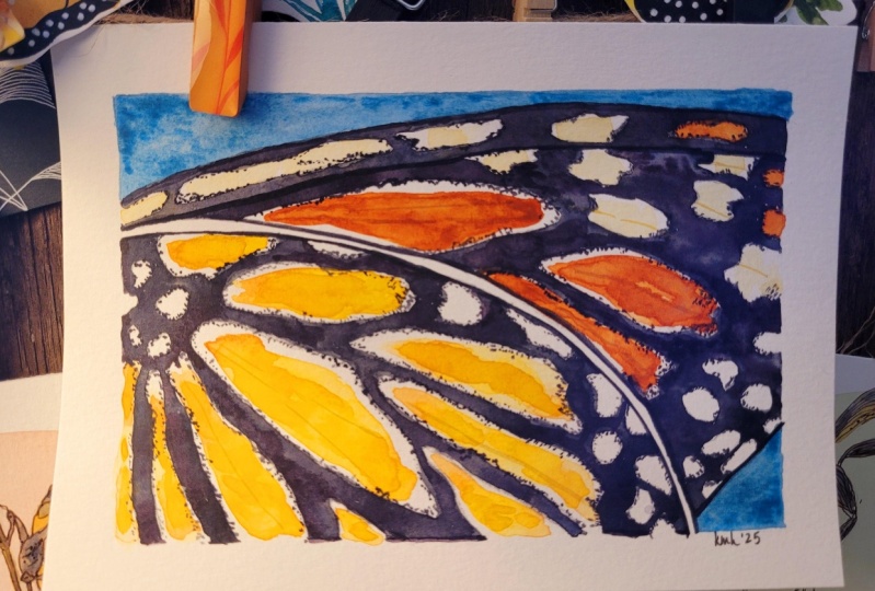 Fabulous zoom in on butterfly wing!