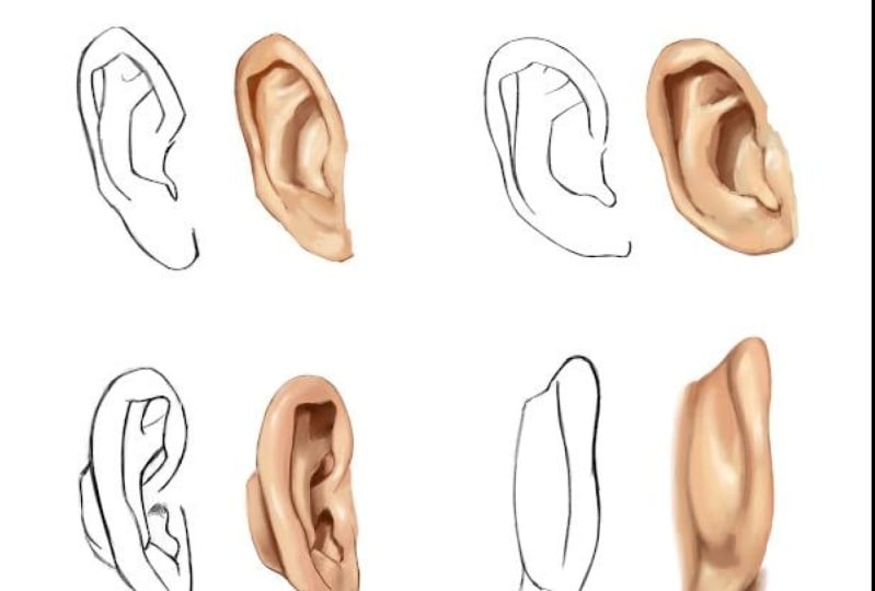 Drawing Ears At Any Angle - Procreate