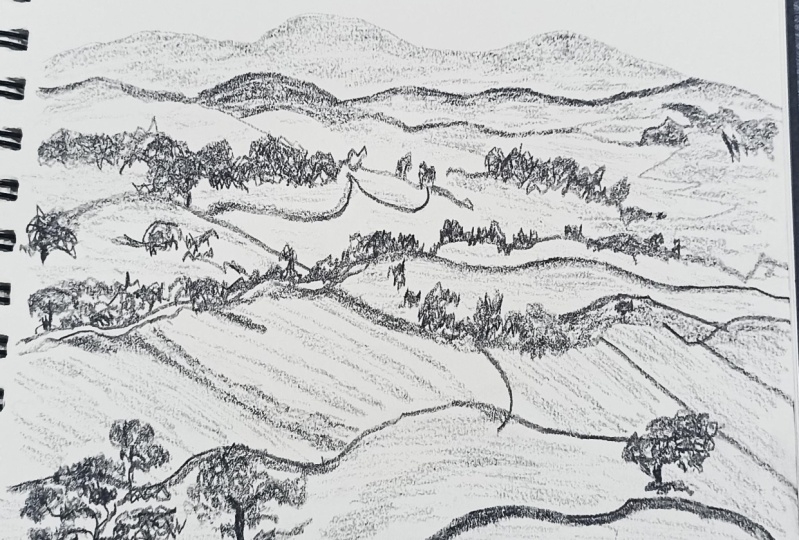 Landscape sketching
