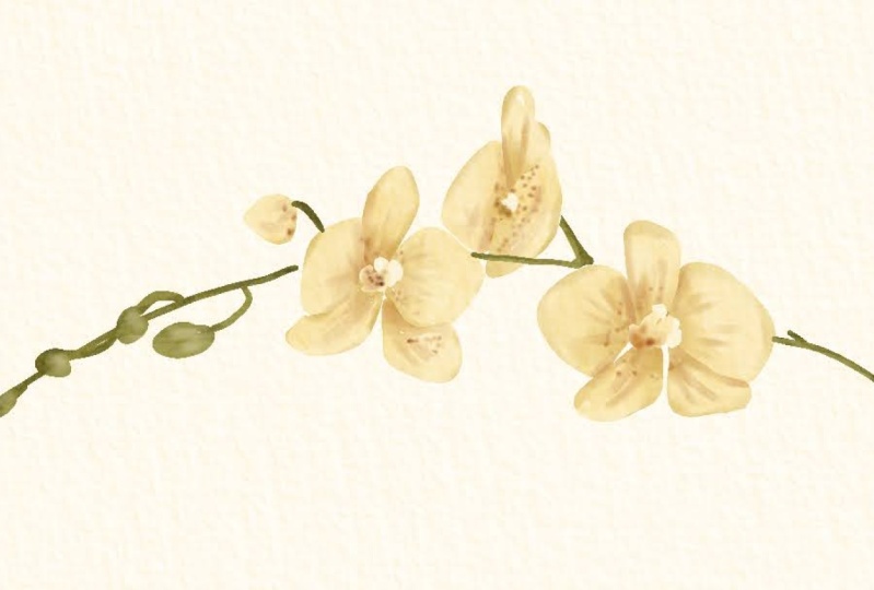 Orchids