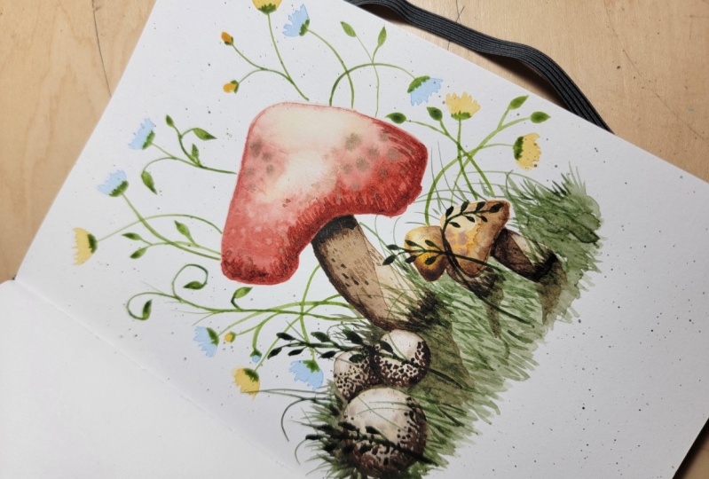 Mushrooms & Flowers