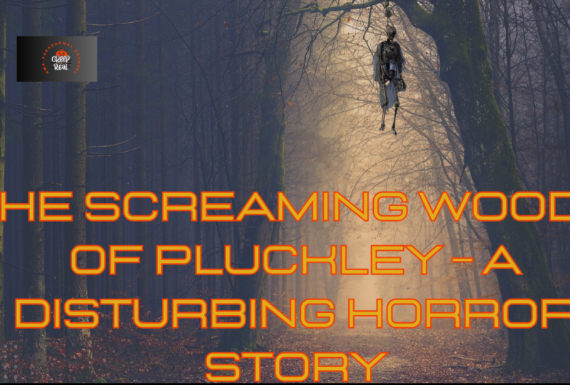 The screaming Woods of Pluckley