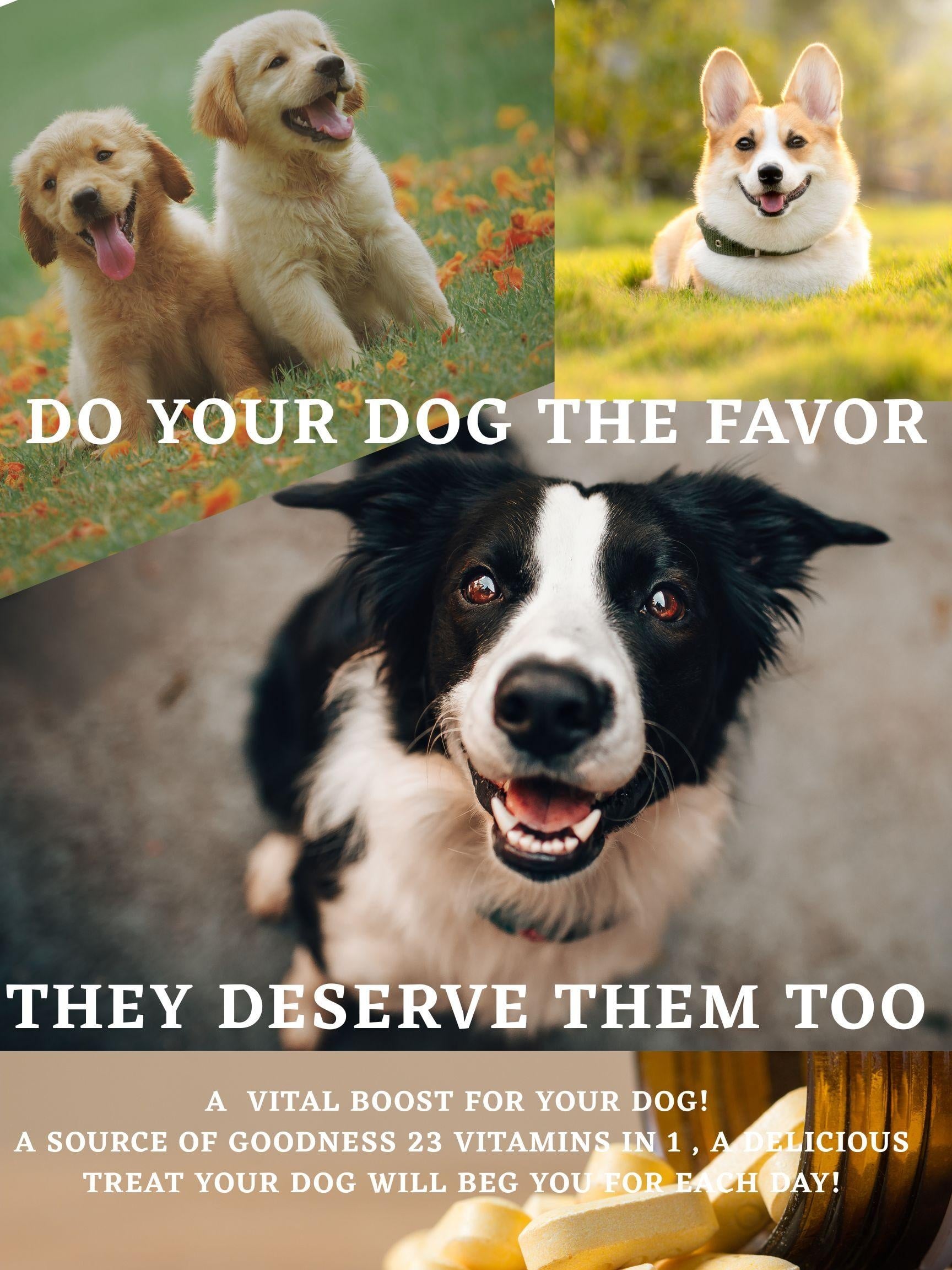 Multivitamin for Dogs - student project