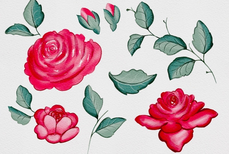 Watercolor beauty