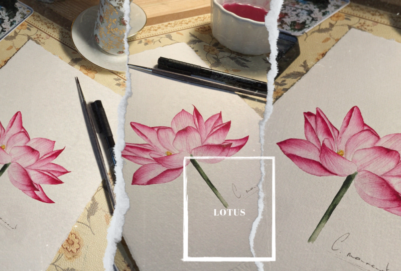 New Class | Nouveau Cours : Lotus Sacré | Sacred Lotus