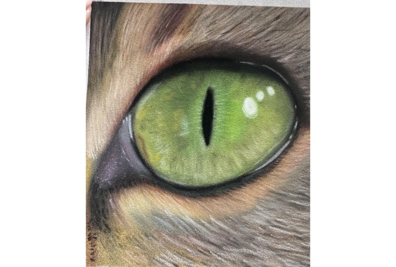 Cat Eye