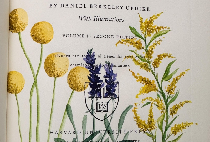 Flowers painted in an old book