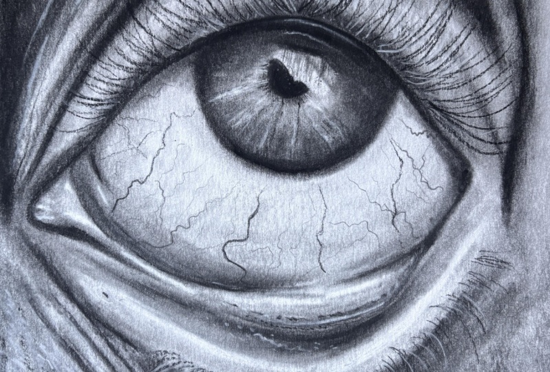 Eye and ear