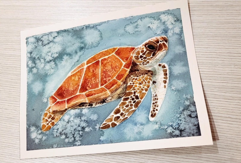 Tortuga de mar