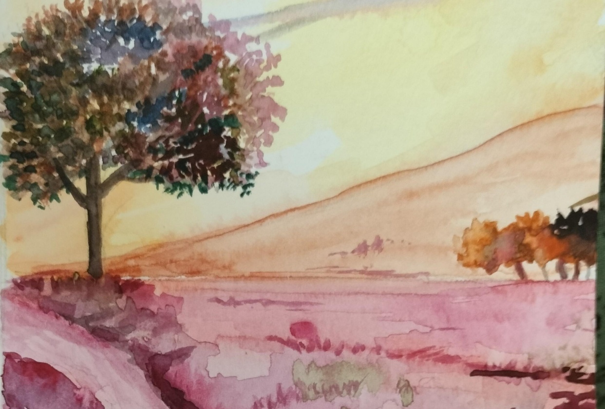 Pinkeunset and tree - student project