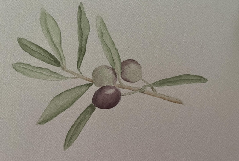 Olives