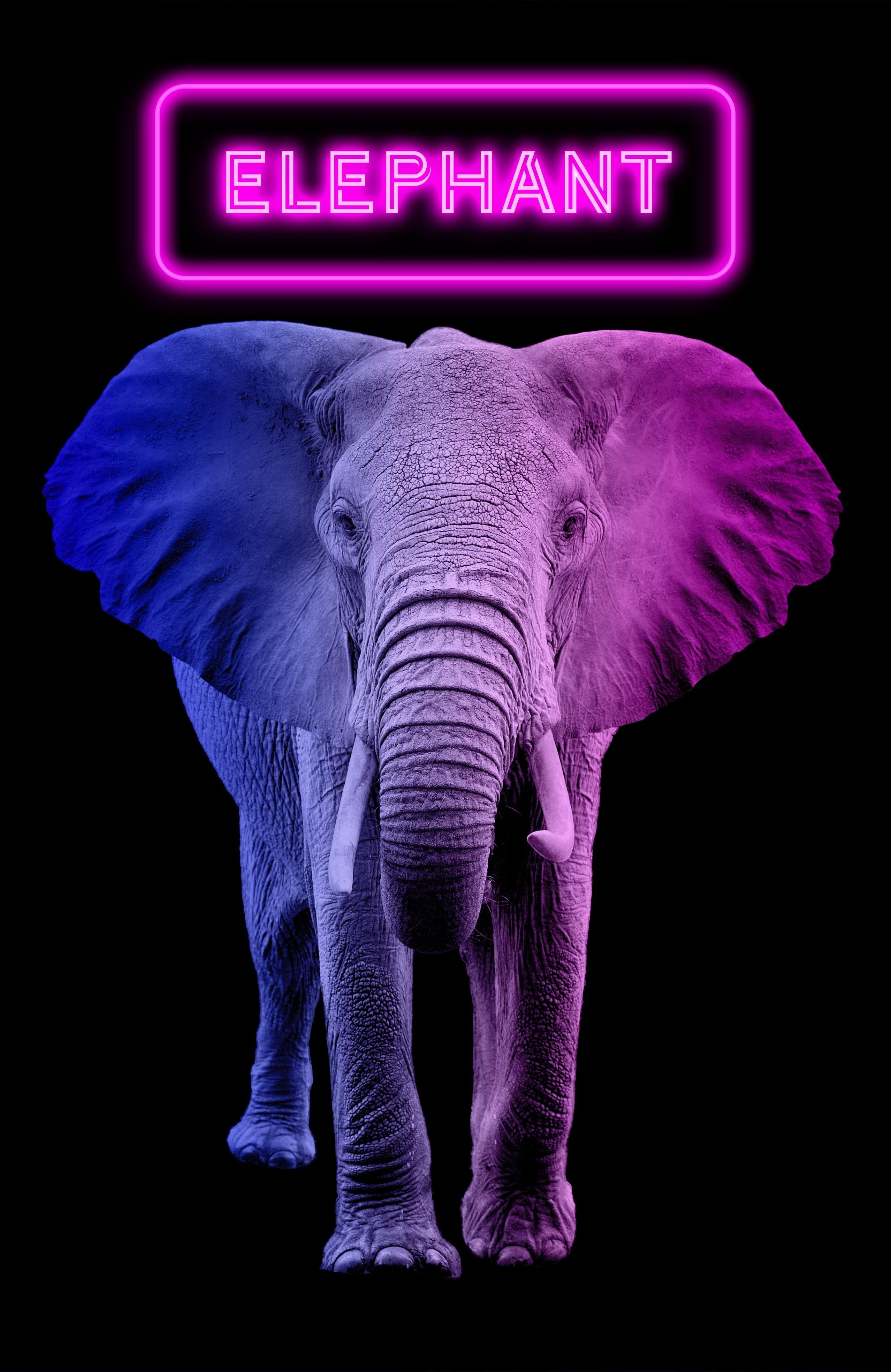 Neon Poster - student project