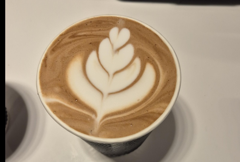 Tulip