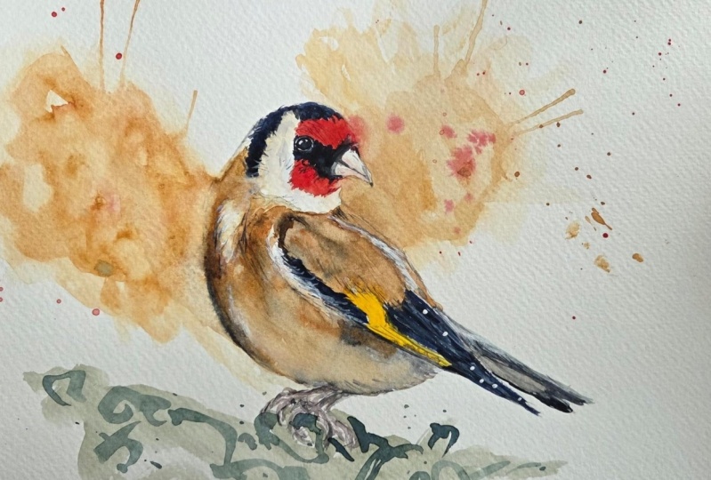 Goldfinch, second attemp :)