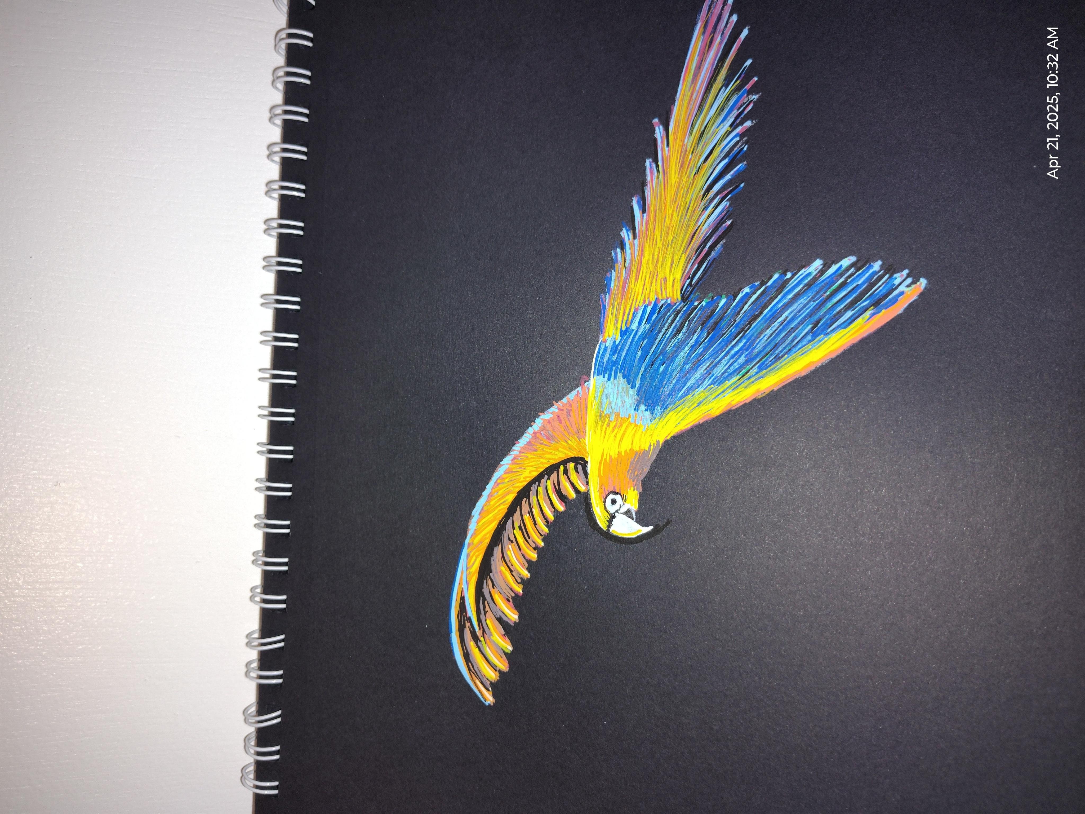 Macaw - student project