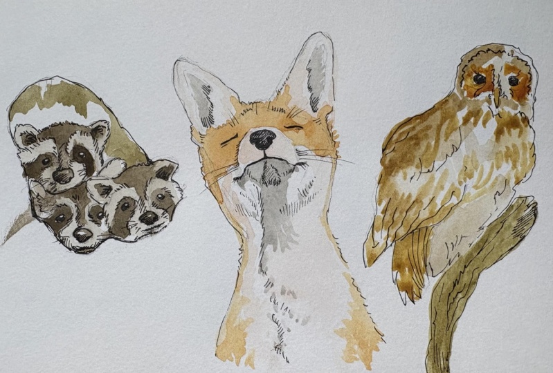 Sketchbook fillers