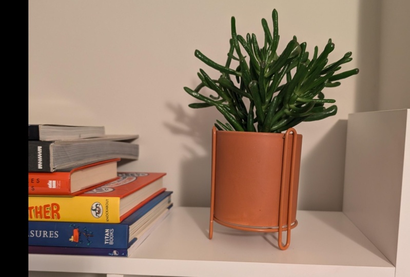 Gollum Gets a New Home!