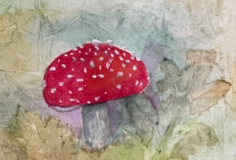 Textured Mushroom
