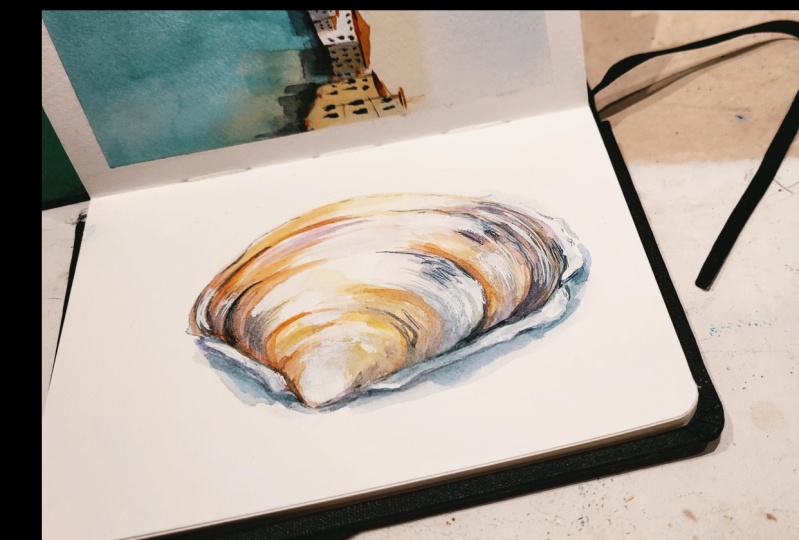 Caracola