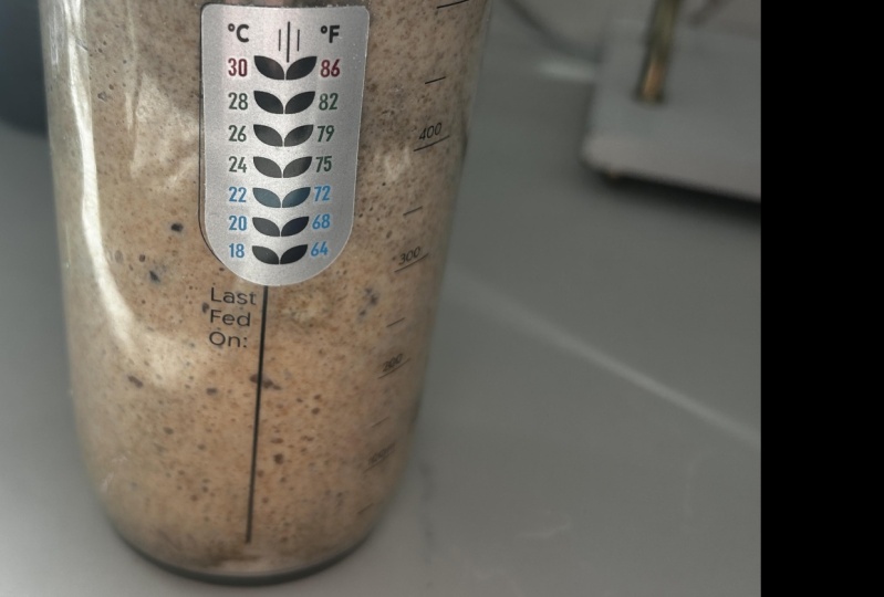 7-Day Sourdough Starter