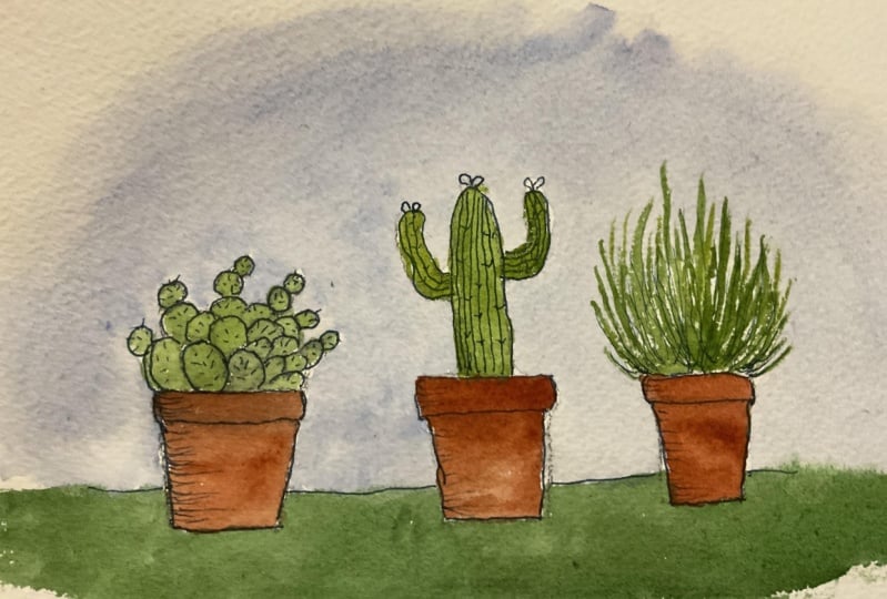 Cactus Quickie
