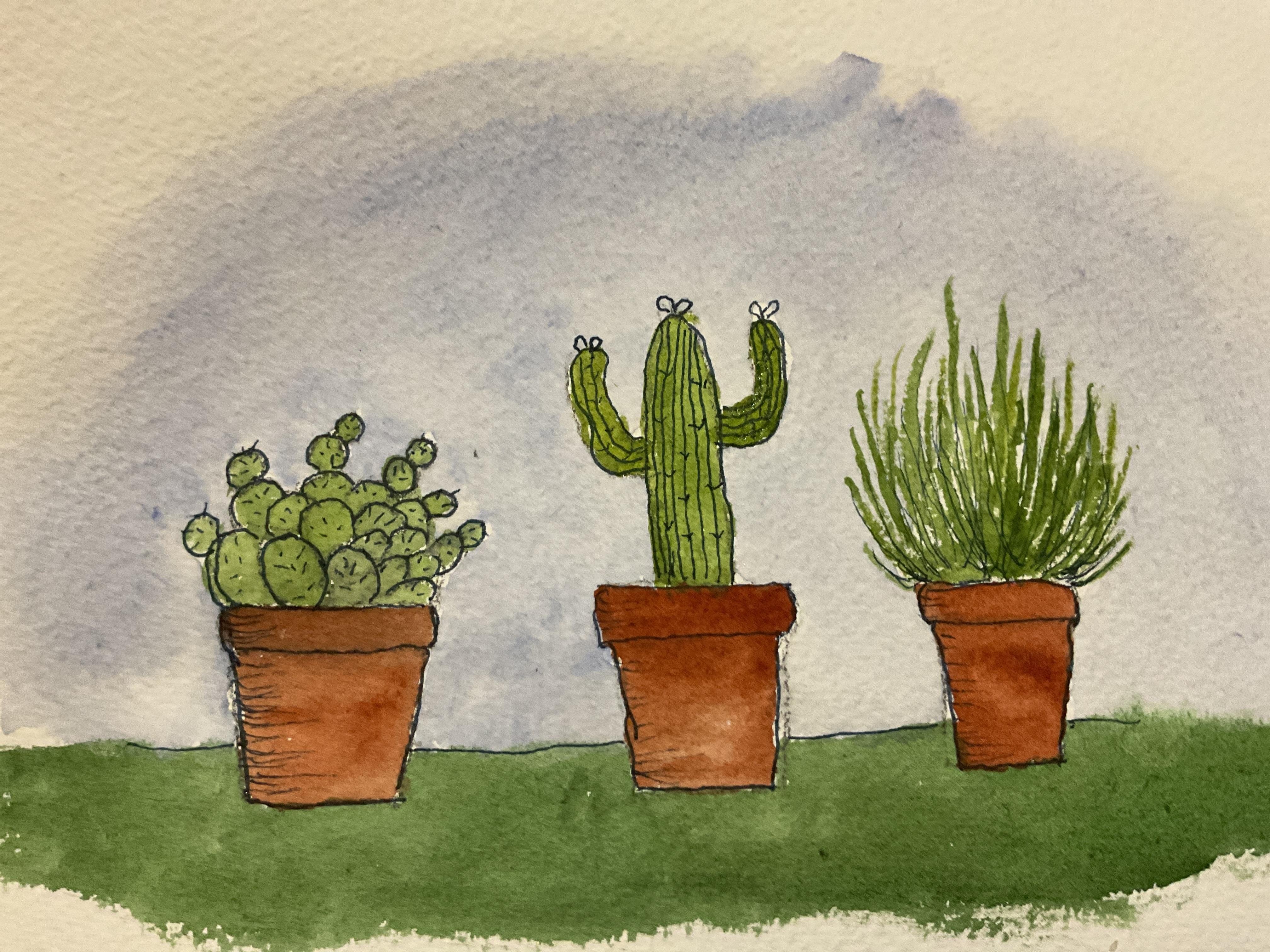 Cactus Quickie - student project