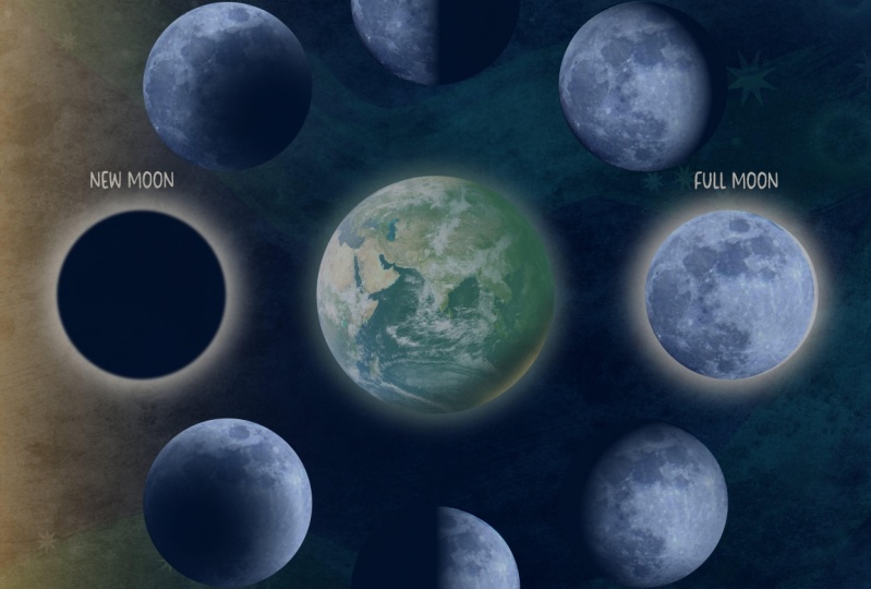 Moon Phase Illustration