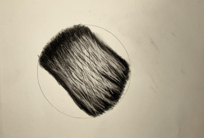 First Fur Demonstration