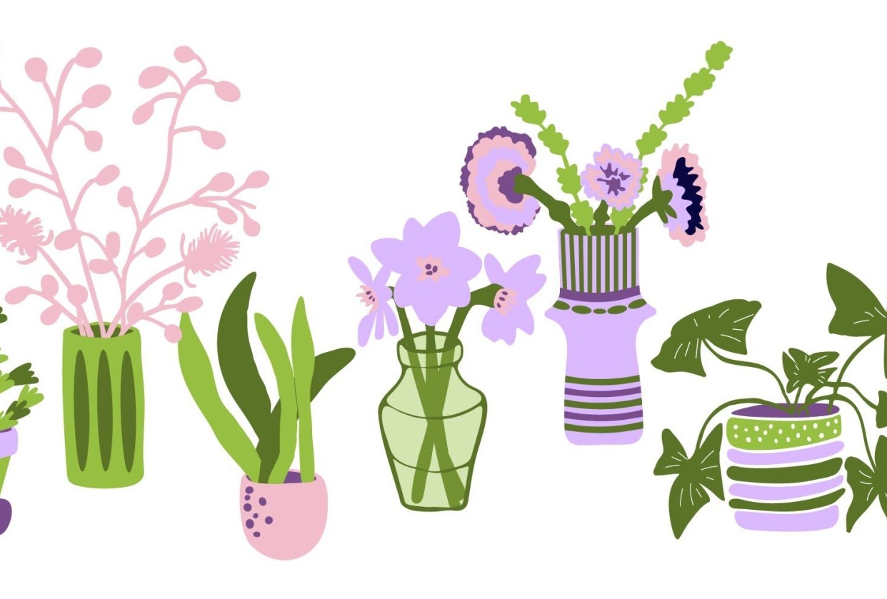 Plants and More Plants - student project