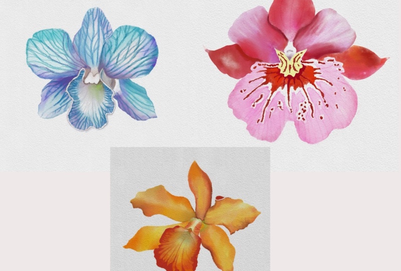 Watercolor Orchids: Beginner to Advanced Techniques