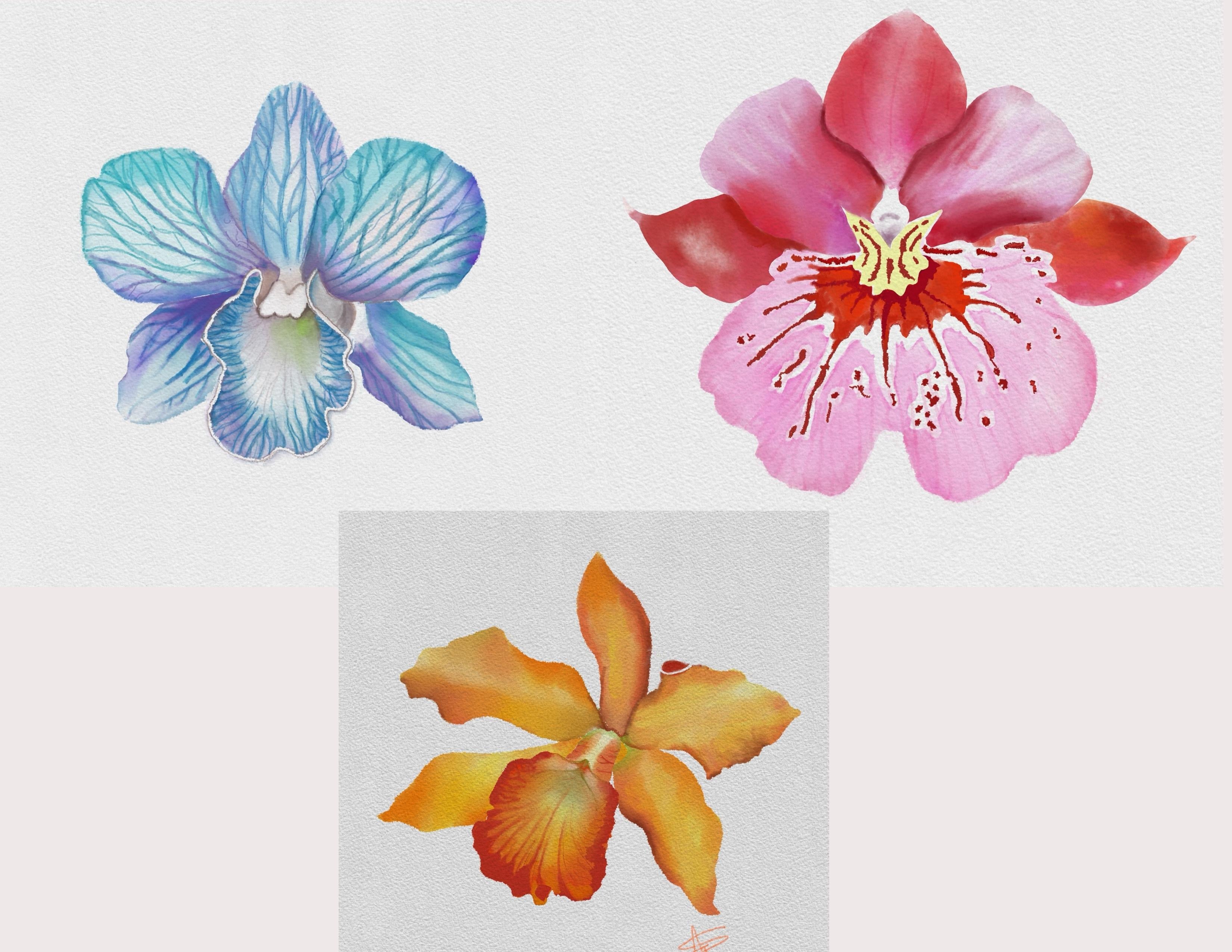 Watercolor Orchids: Beginner to Advanced Techniques - student project