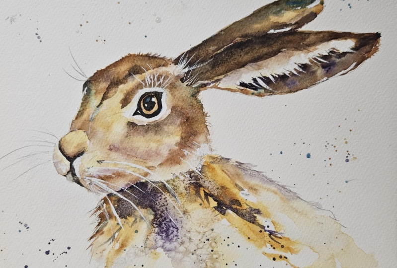 Hoppity hare