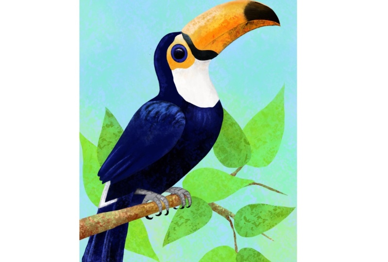 Tucano