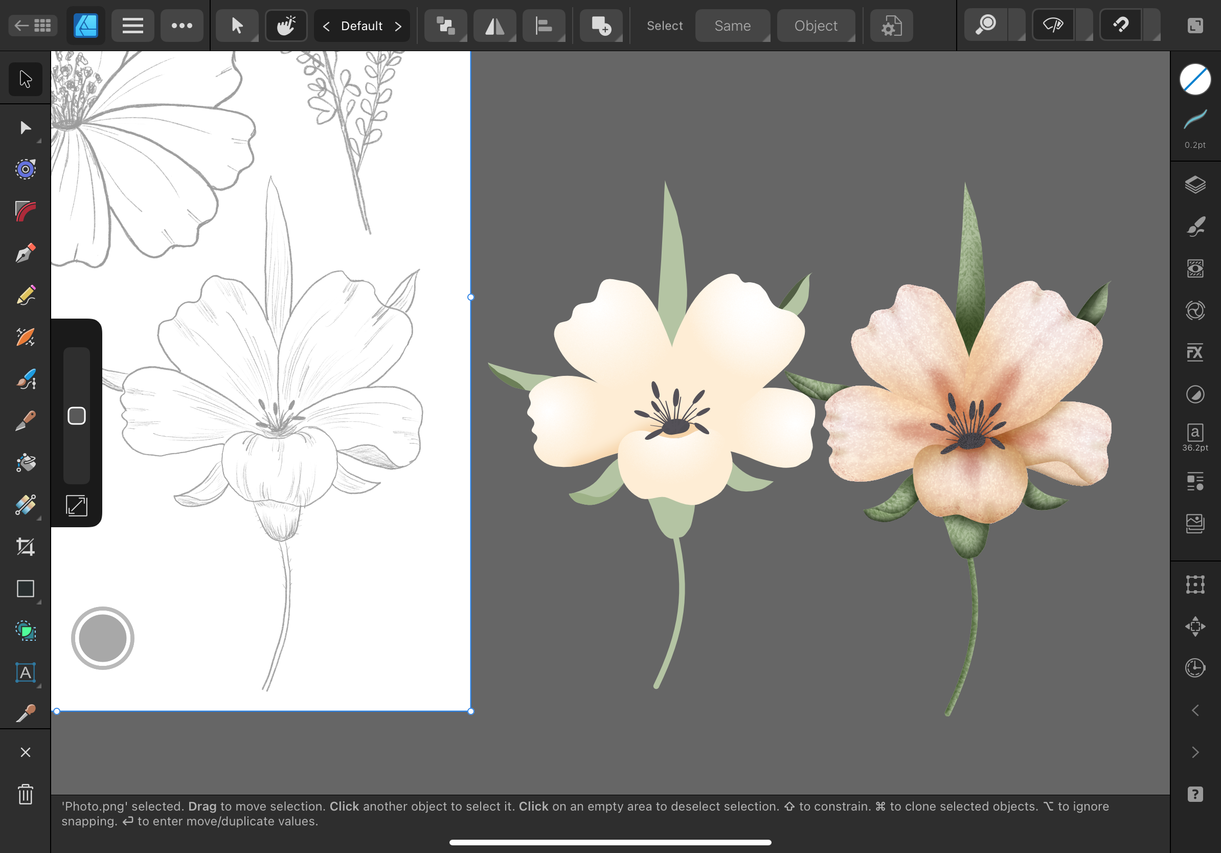 more-projects-from-class-img