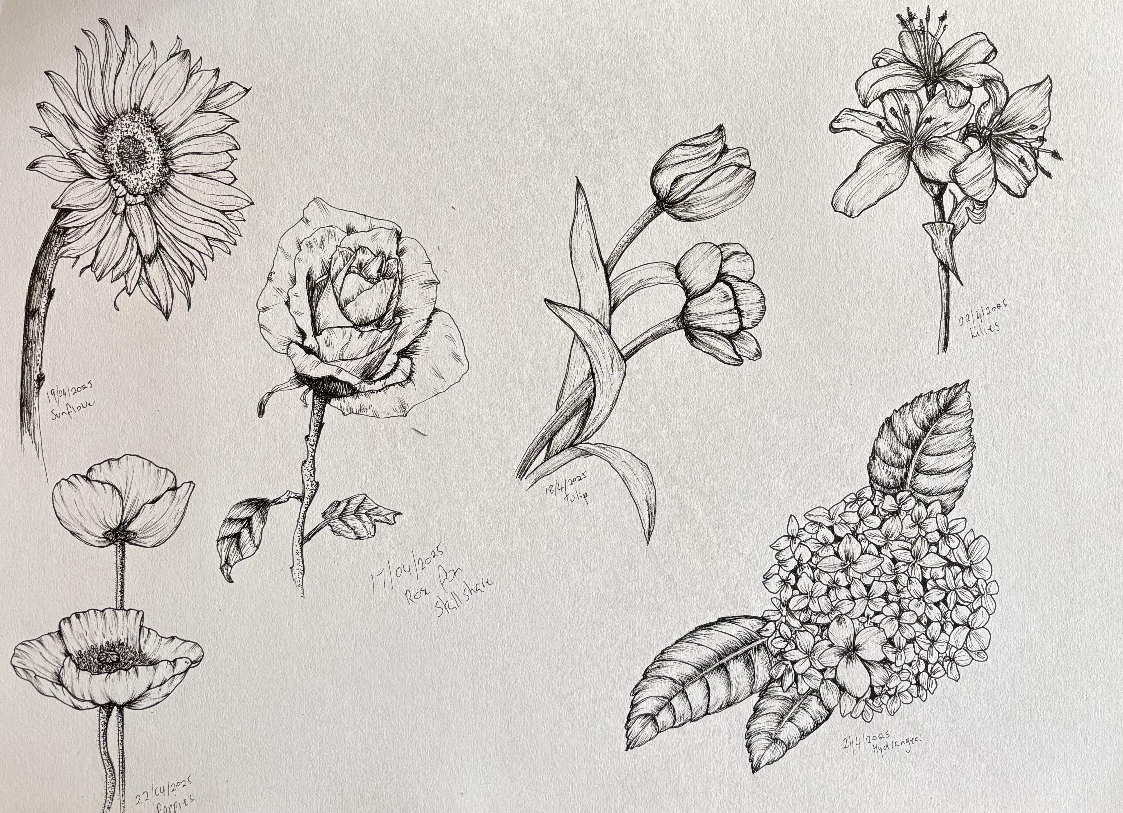 more-projects-from-class-img