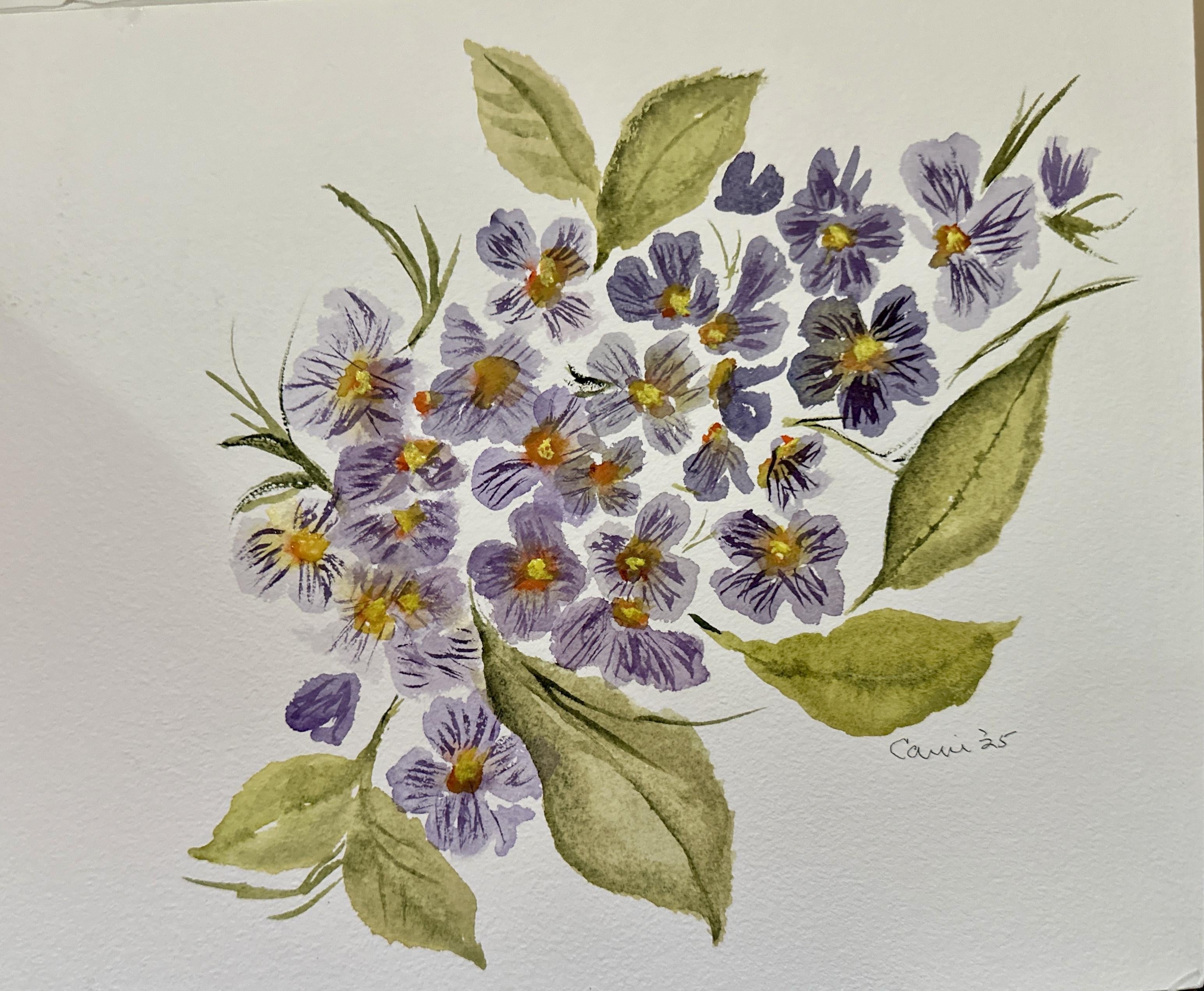 Loose primrose - student project
