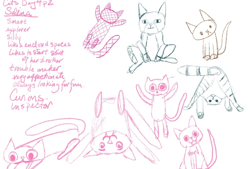CATS!  Day 4 (EDIT)