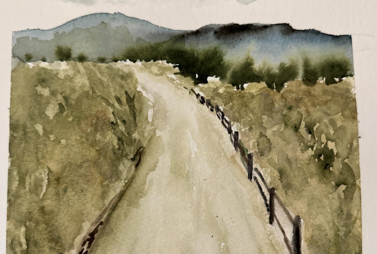 Loose beach path landscape - student project